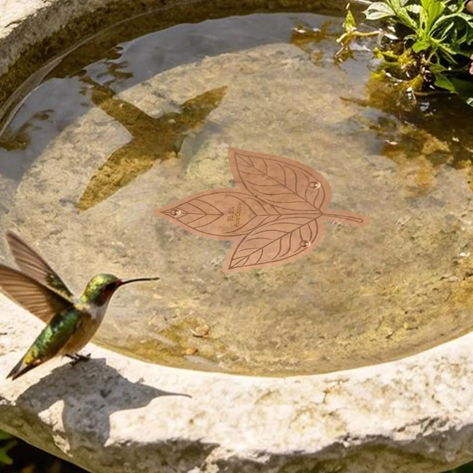

Bird Bath Copper Disk Stable Triple-Point Support Purification Plate Copper Bird Bath Purification Disk For Outdoors Backyard
