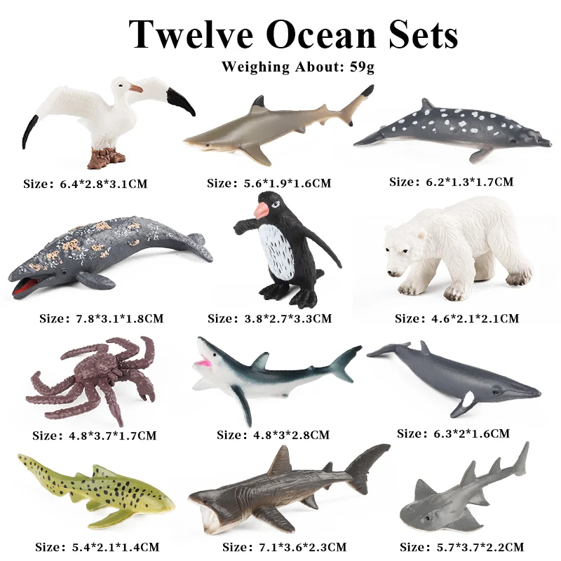 Oenux Ocean Animals Basking Shark Dolphin Ray Whale Crab Sea Life
