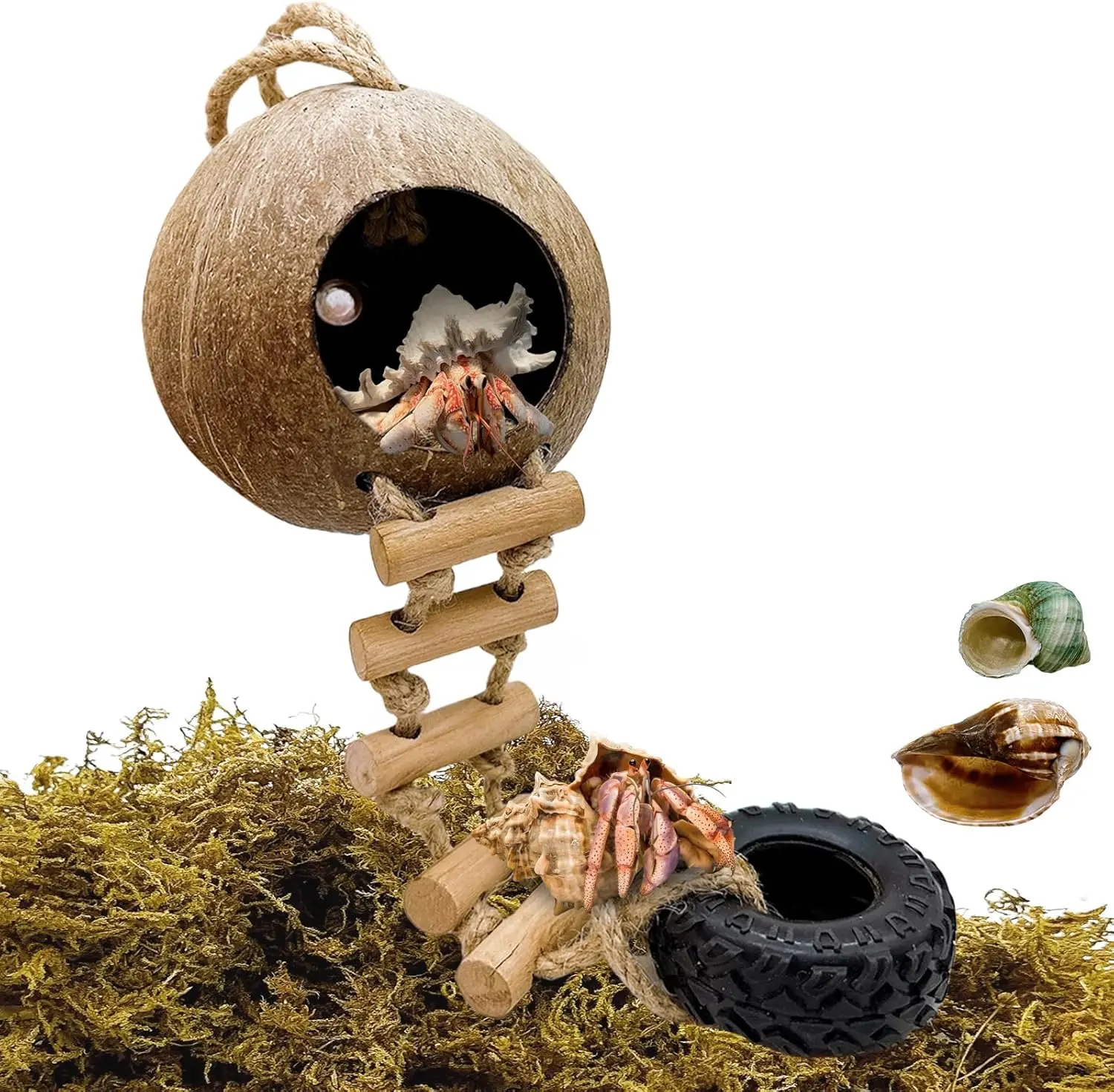 

Hermit Crab Coconut Shell Hideout, Leopard Gecko Hide Habitat Cave with Ladder and 2 Sea Shells, Crested Gecko Tank Accessories