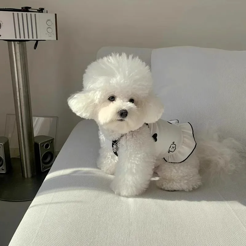 

Teddy Waistband Halter Dress Dog Full Printed Love Clothes Pet Skirt Maltese Summer Casual Pullover Female Dogs