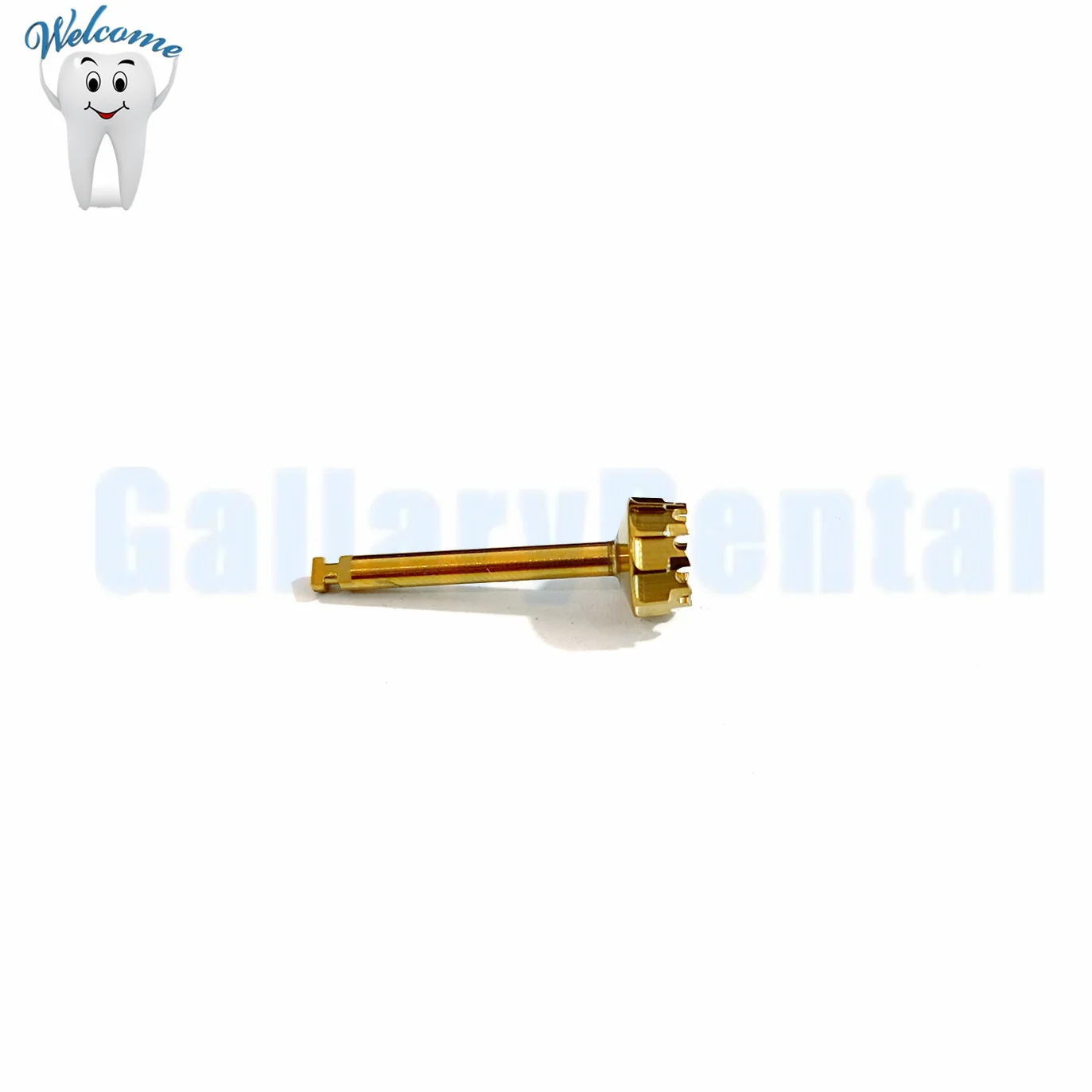 Dental Gear Cutter Drills Lateral Approach Sinus Lift Burs ∅8mm ITI Straumann