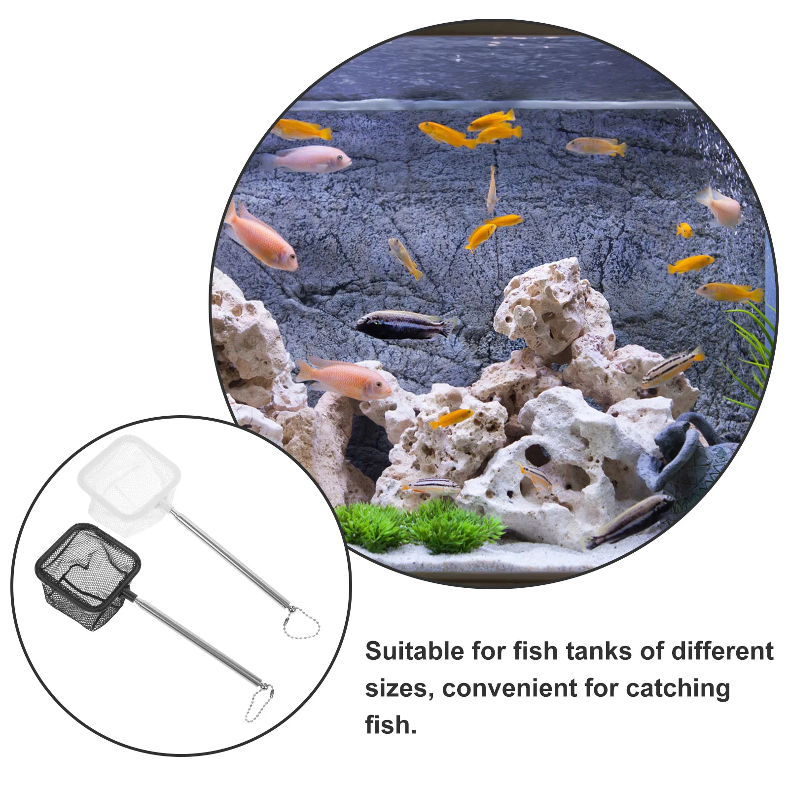 

2pcs Retractable Fish Landing Fishing Tool Square Mesh Fine Pond Dipping For Carp Guppies Shrimp Outdoor Freshwater Saltwater