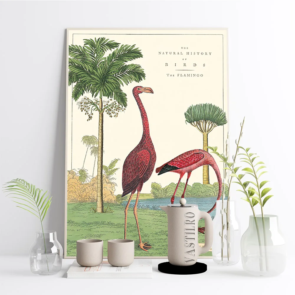 Vintage Cavallini Flamingo Poster Natural History Print Art Canvas Painting Living Room Wall Picture Decor