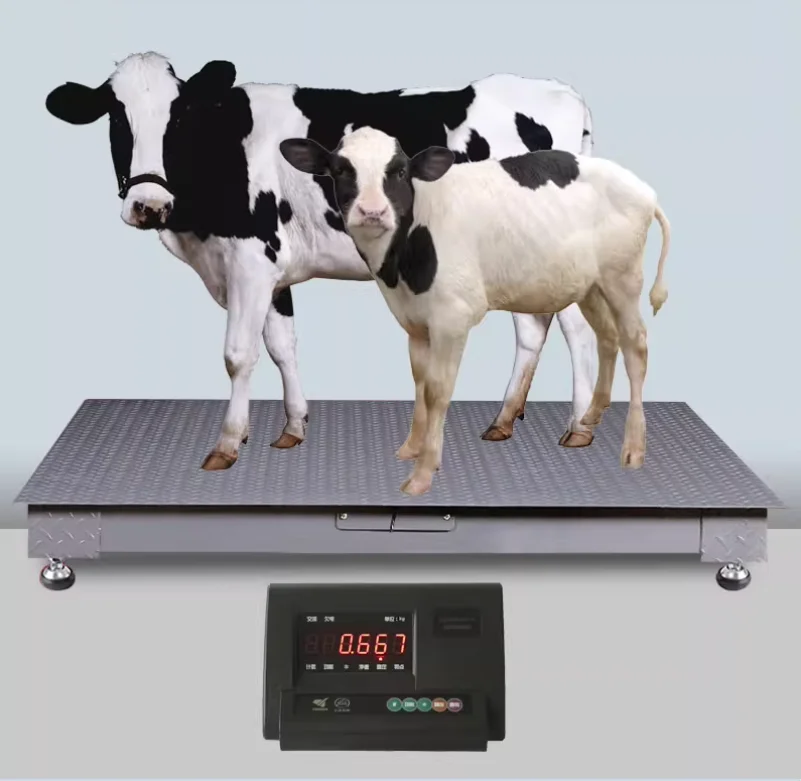 Electronic Platform Small Scale  Factory Logistics Electronic Scale Thickened Platform Weighbridge Weighing Pig and Cow