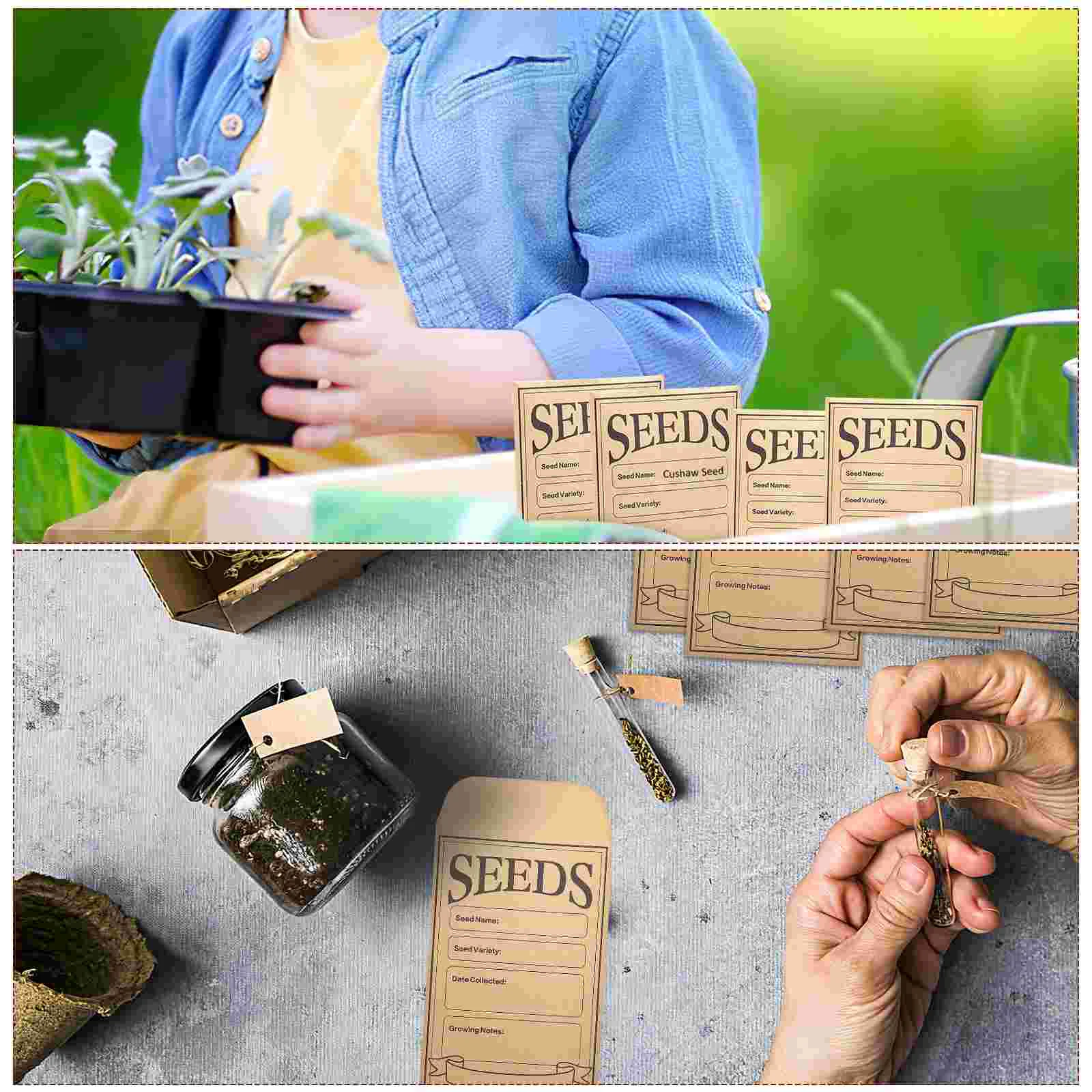 200 Pcs Seed Envelopes Kraft Paper Pieces Thick Glassine Planting Money Bags Envelops for Presents Gardening Easy Application