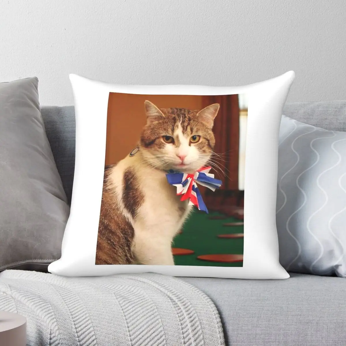 Aesthetic Larry The Cat Square Pillowcase Polyester Linen Velvet Pattern Zip Decor Throw Pillow Case Room Cushion Cover