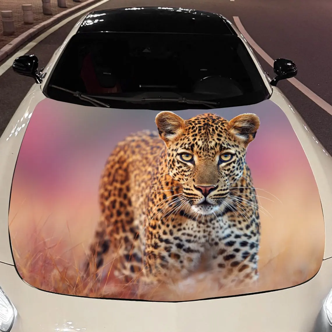 Car Decals A Leopard Exuding Alert Vitality And Wild Grace In A Soft - Toned, Natural Setting Car Hood Sticker, Waterproof Self