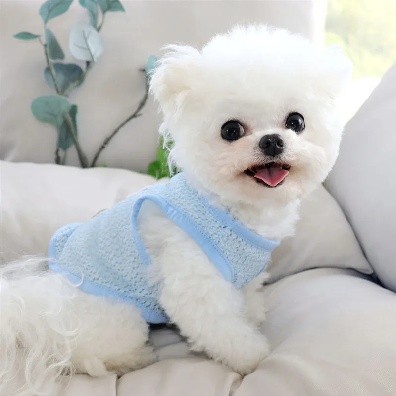 

Puppy Mesh Vest Pet Leashable T-shirt Puppy Summer Clothes Thin Bichon Cartoon Pullover Pet Supplies XS-XL