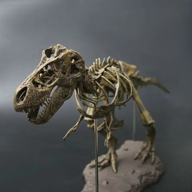 70cm Simulation Dinosaur Skeleton Toys Kits With Pigment T-Rex Model Jurass Dino Fossilized DIY Assembled Park Toy for Boys Gift