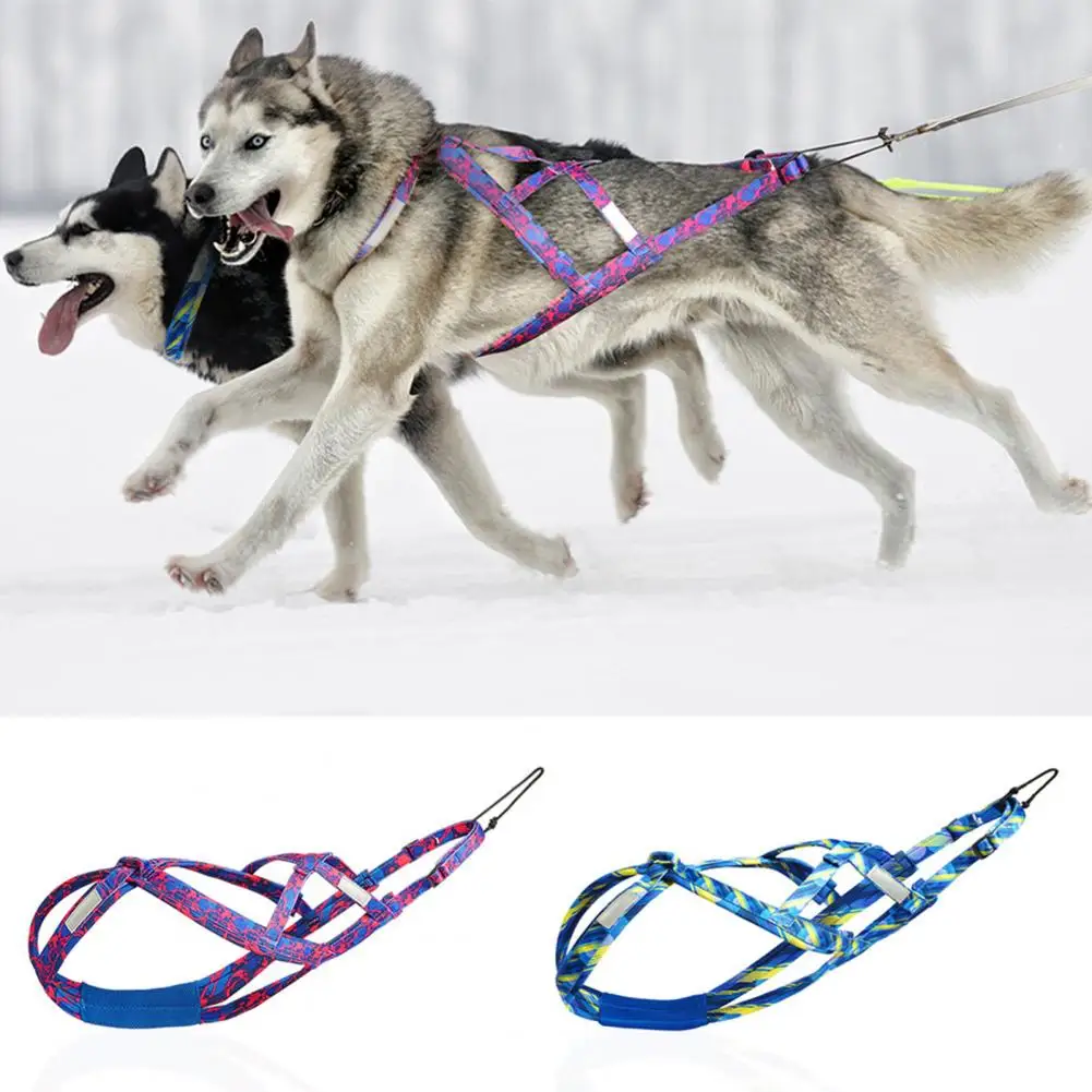 Double Dog Chest Harness Reflective Dog Sledding Harness Thickened Soft Design for Medium Dogs Adjustable for Mushing