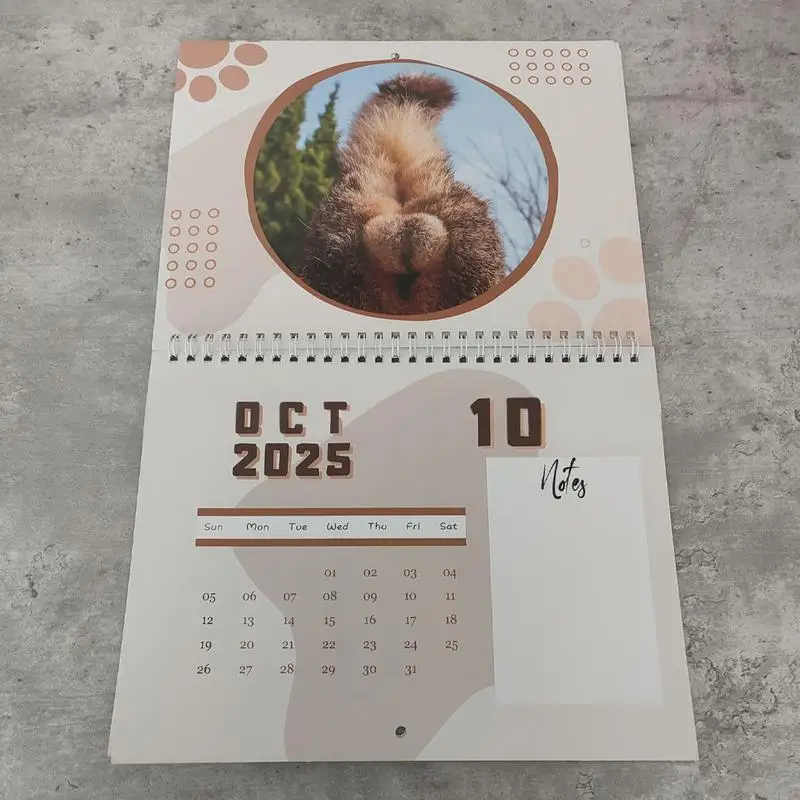 Imagem -04 - Calendário de Parede com Bolas de Gato Butthole Engraçado Mordaça de 12 Meses Mensal Amante Família 2025