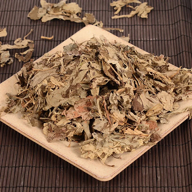 Daun Apsintus Alami Daun Mugwort Murni Masker Terapi Ramuan Moxa Moksibusi Mandi Kaki Pijat Relaksasi Tubuh Perawatan Kesehatan 500G/Tas