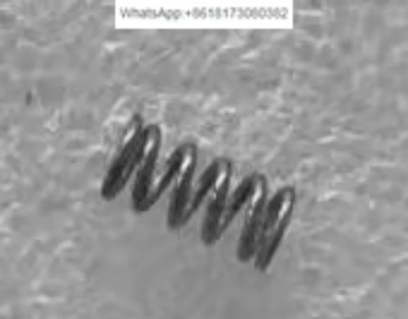

Spring Gaokai piezoelectric valve spring 5020/5030 SPJET5030