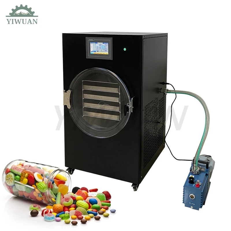 Household Mini Vacuum Freeze Dry Machine For Candy