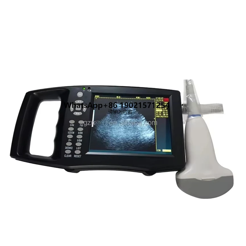 

Manufacturer Veterinary Digital Animal Portable B Ultrasound Scanner for Sheep Dog Cat Pig Examination Test