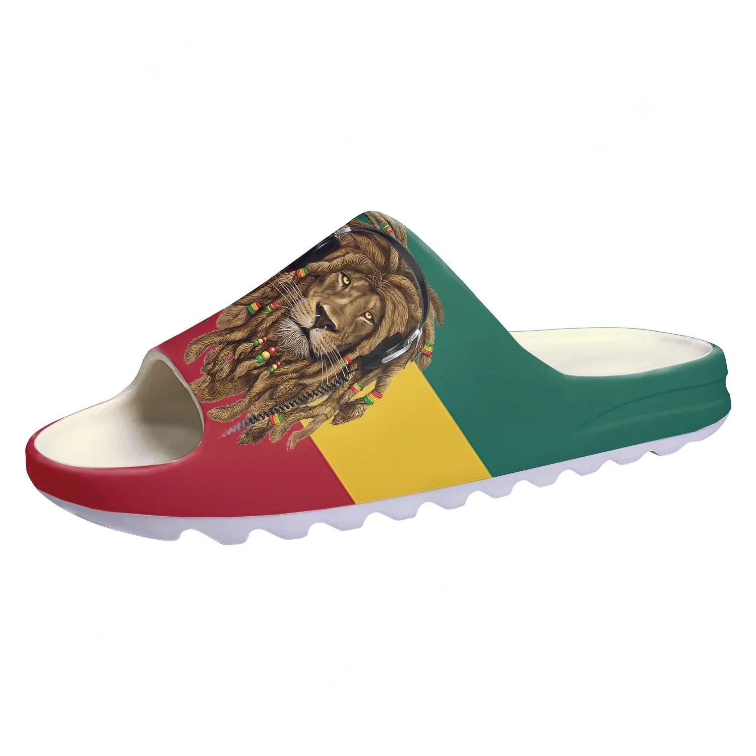 

Мягкие шлепанцы Rastafarian Rasta Rastafari Lion Of Judah, домашние сабо, индивидуальные водные туфли, пляжные сандалии для мужчин и женщин