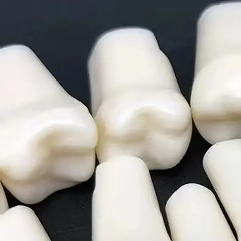 

28/32Teeth Simulation Model Dental Tooth Grain Resin Simulation Tooth Full mouth