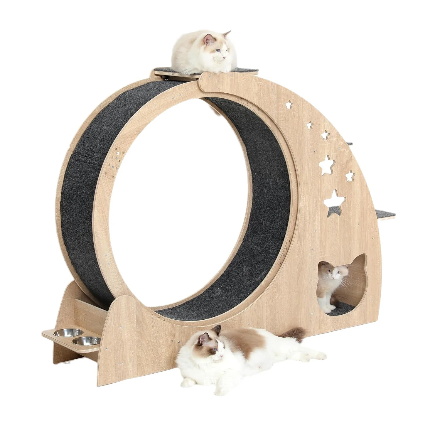 Custom Logo Interactive Cat Entertainment Cat Wheel Treadmill Wooden