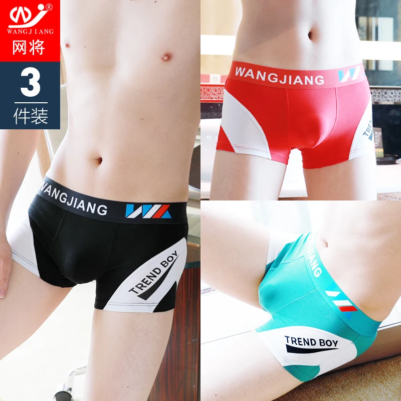 

3pcs/lot Men's underwear cotton breathable thin boxers shorts in summer trendy personalized student oversized boxer shorts 3051