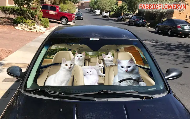 Ankara Kedisi Car Sunshade, Ankara Kedisi Car Decoration, Cat Windshield, Cat Lovers Gift, Cat Car Sunshade, Gift For Mom, Gift