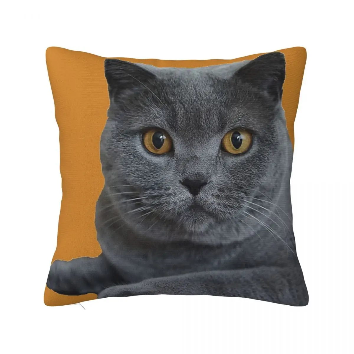 British Blue Shorthair Cat Face Portrait Pillow Case Pillowcase 40X40 Cushion Cover 45*45 Pillow Case Pillow Cover