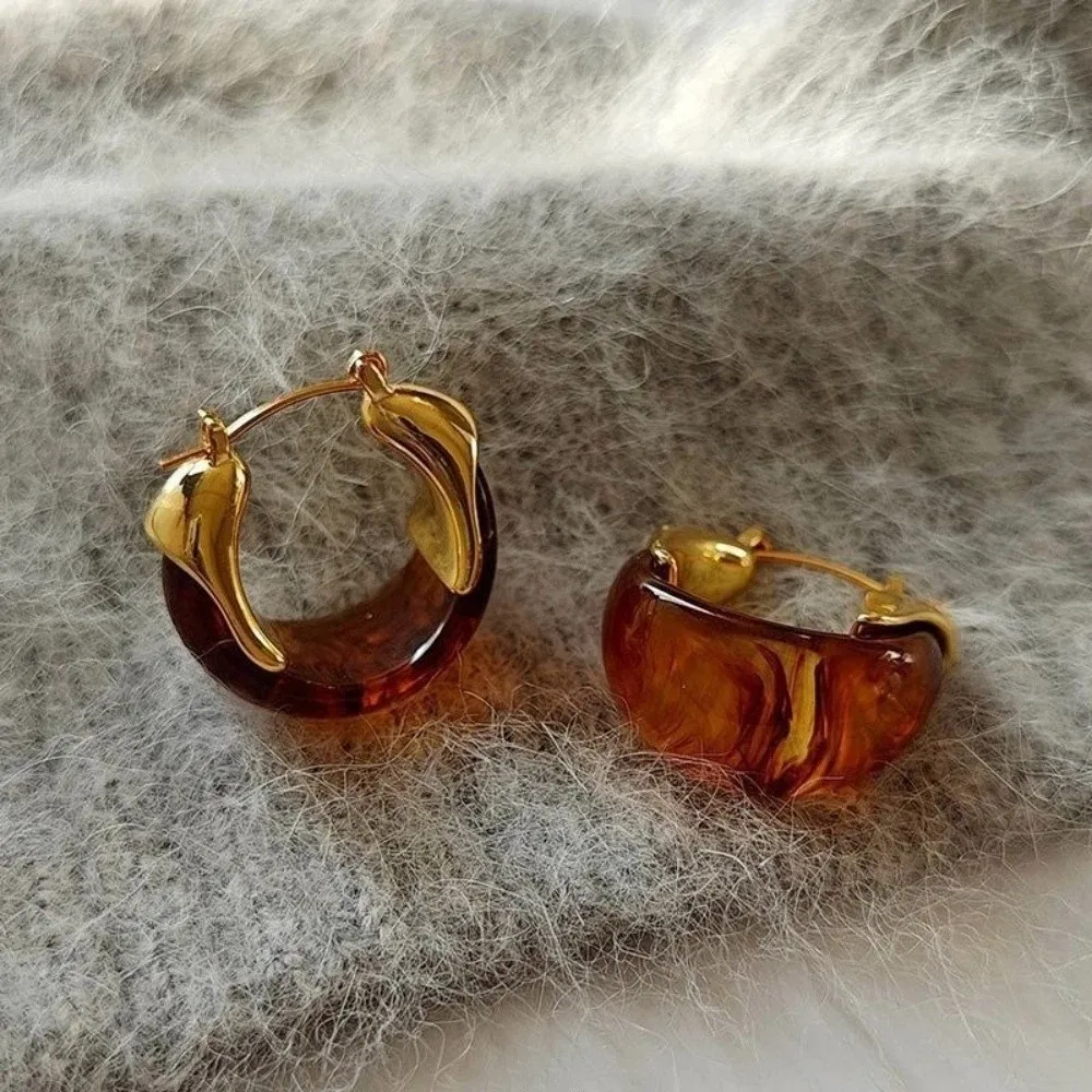 Pendant Amber Color Earrings Light Luxury Autumn Winter Vintage Women's Earrings Fashion Jewelry Temperament Amber Ear Stud