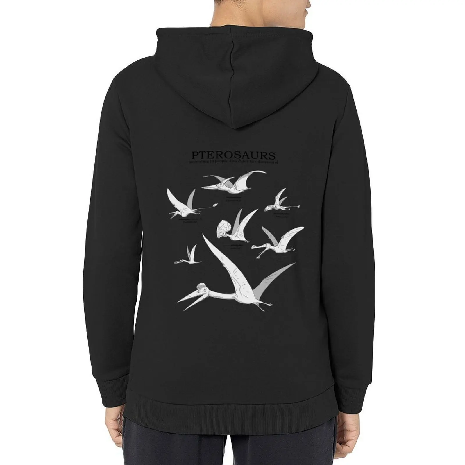 

PTEROSAURS (according to people who don't like dinosaurs) Hoodie hooded shirt aesthetic clothing oversized hoodie