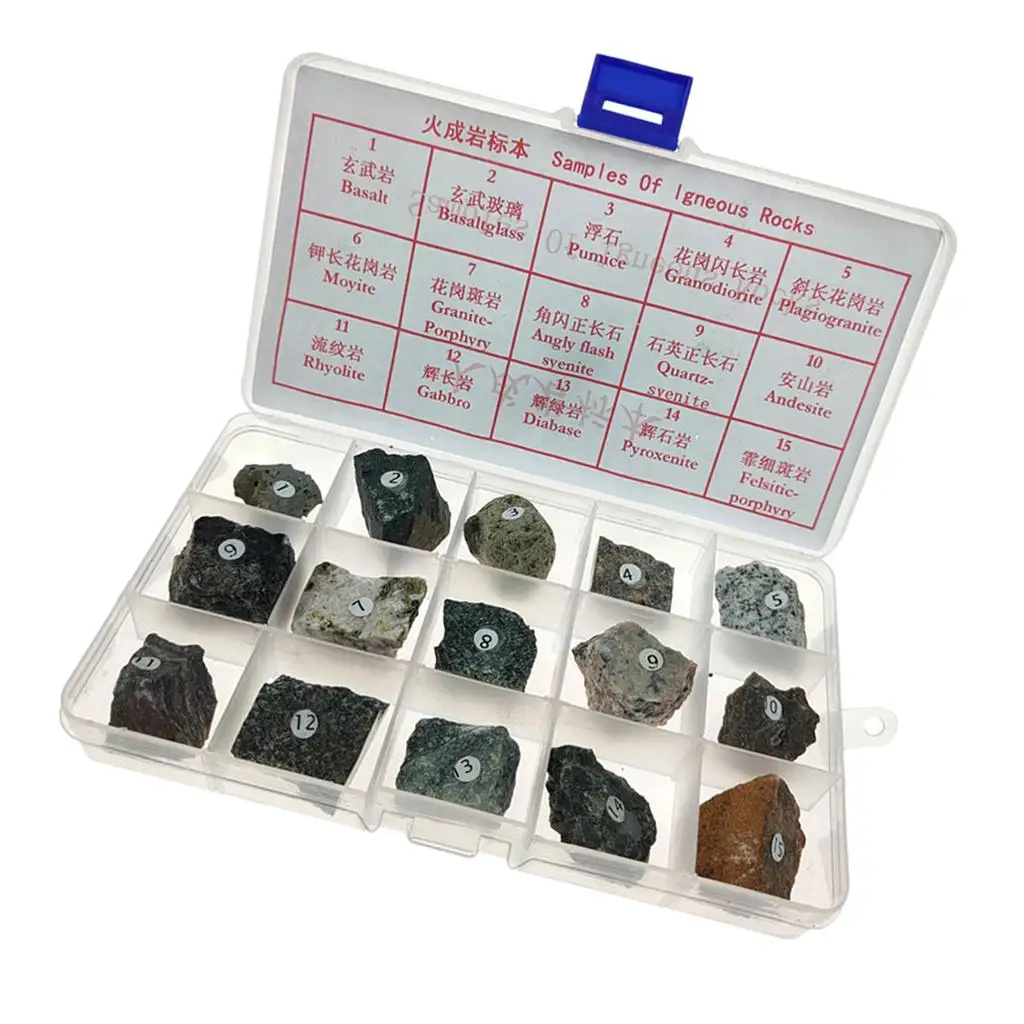 Igneous Rock Specimen Kit 15 Piece Numbered Geology Samples with Tray for School Lab Learning