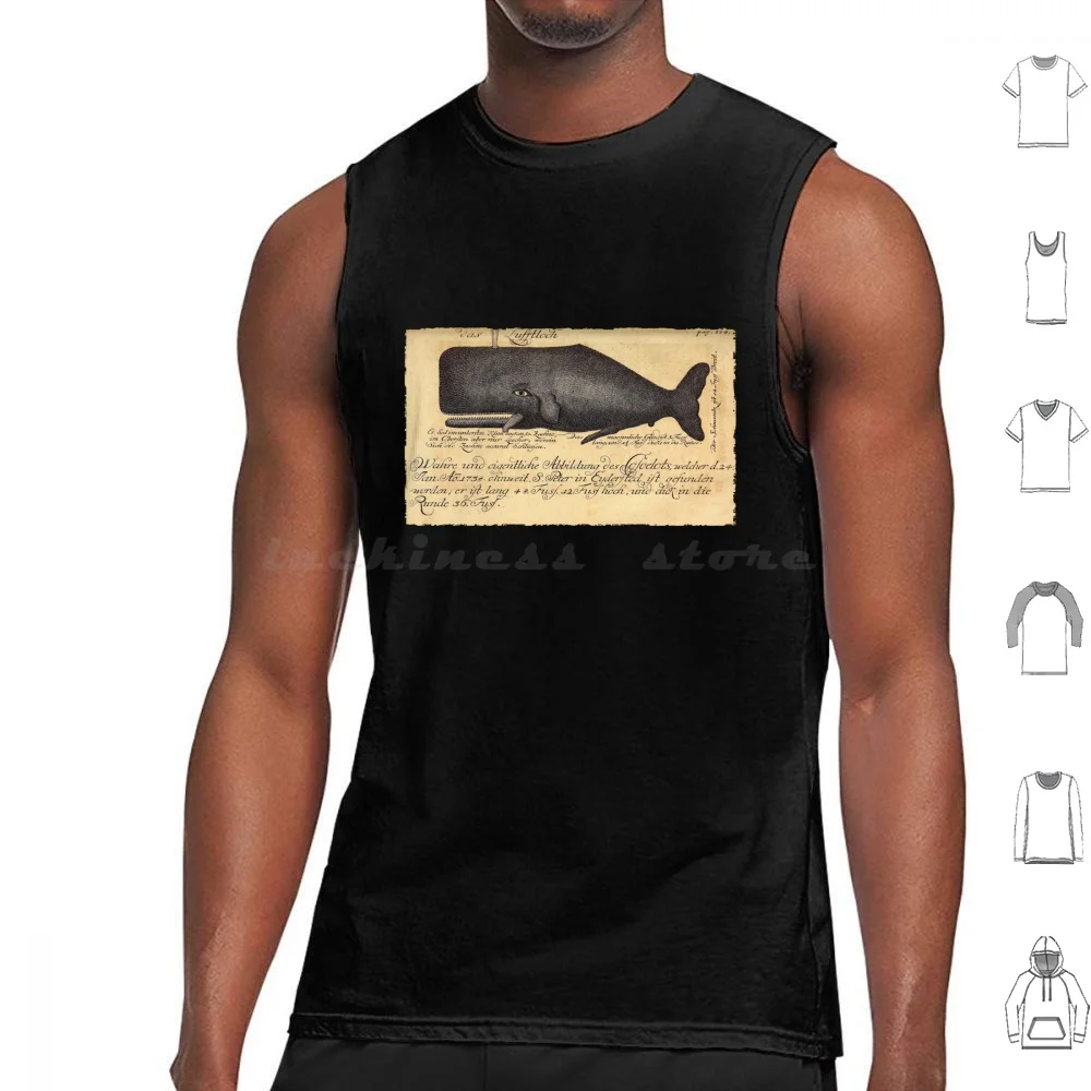 Vintage Whale Illustration By Johann Anderson , 1746 Tank Tops Vest Sleeveless Sea Monster Kracken Giant Squid Octopus