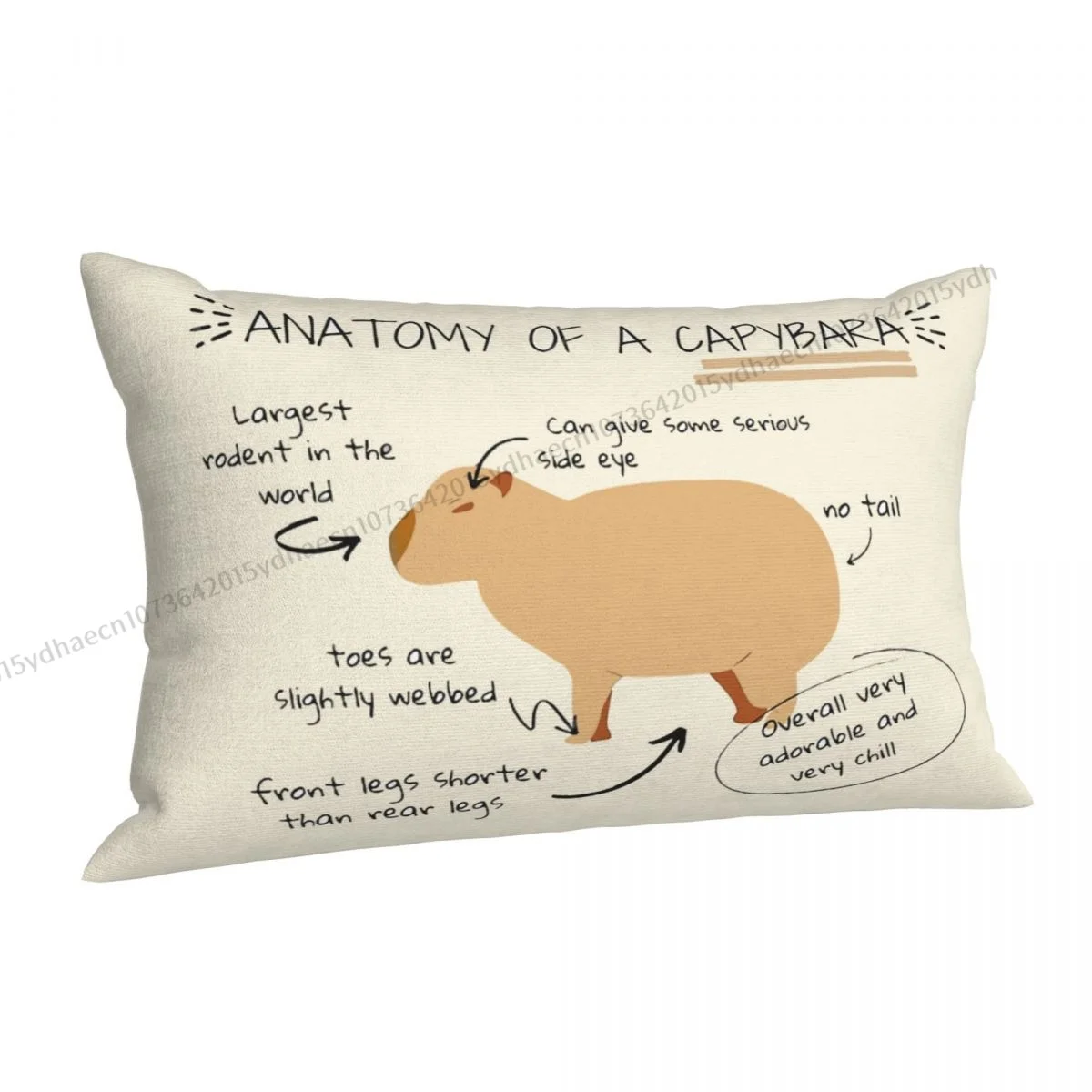 Anatomy Of A Capybara Pillow Case Cushion Covers Home Sofa Chair Decorative Backpack Covers