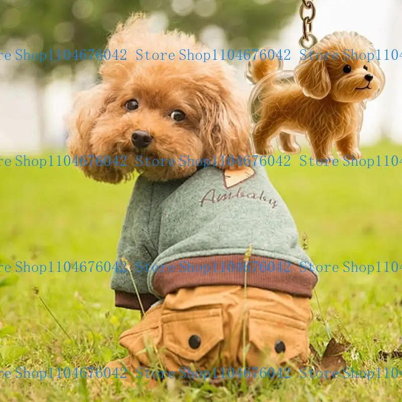 5ASD CLEAR PET MEMORIAL KEYCHAIN ​​PET HAIG HAIG HAIRGE