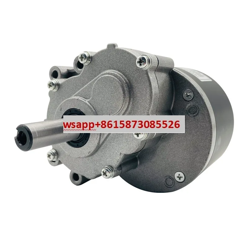 

MY1016Z permanent magnet DC brushed two-stage deceleration electric vehicle motor 24V250W low-speed wheelchair motor