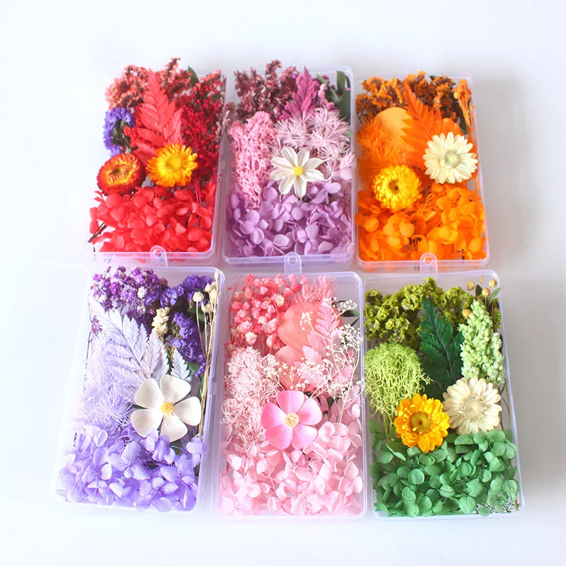 Confezione in scatola di fiori secchi Borsa in materiale per fiori eterni Cornice fai-da-te Bottiglia di vetro Colla a goccia Produzione artigianale di fiori reali fatti a mano