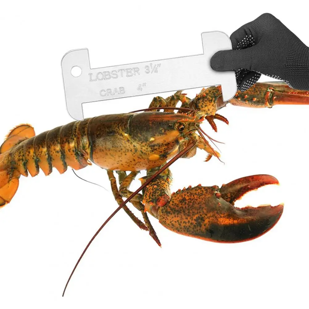 Acrylic Seafood Ruler Acrylic Measurement Gauge with Precise Scale Markings Corrosion Resistant Tool Ruler Ergonomic Grip