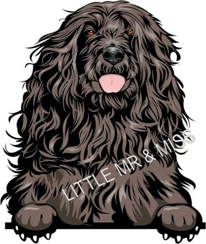 For PORTUGUESE WATER DOG Peeking Dog Breed Colour Window Wall laptop Sticker