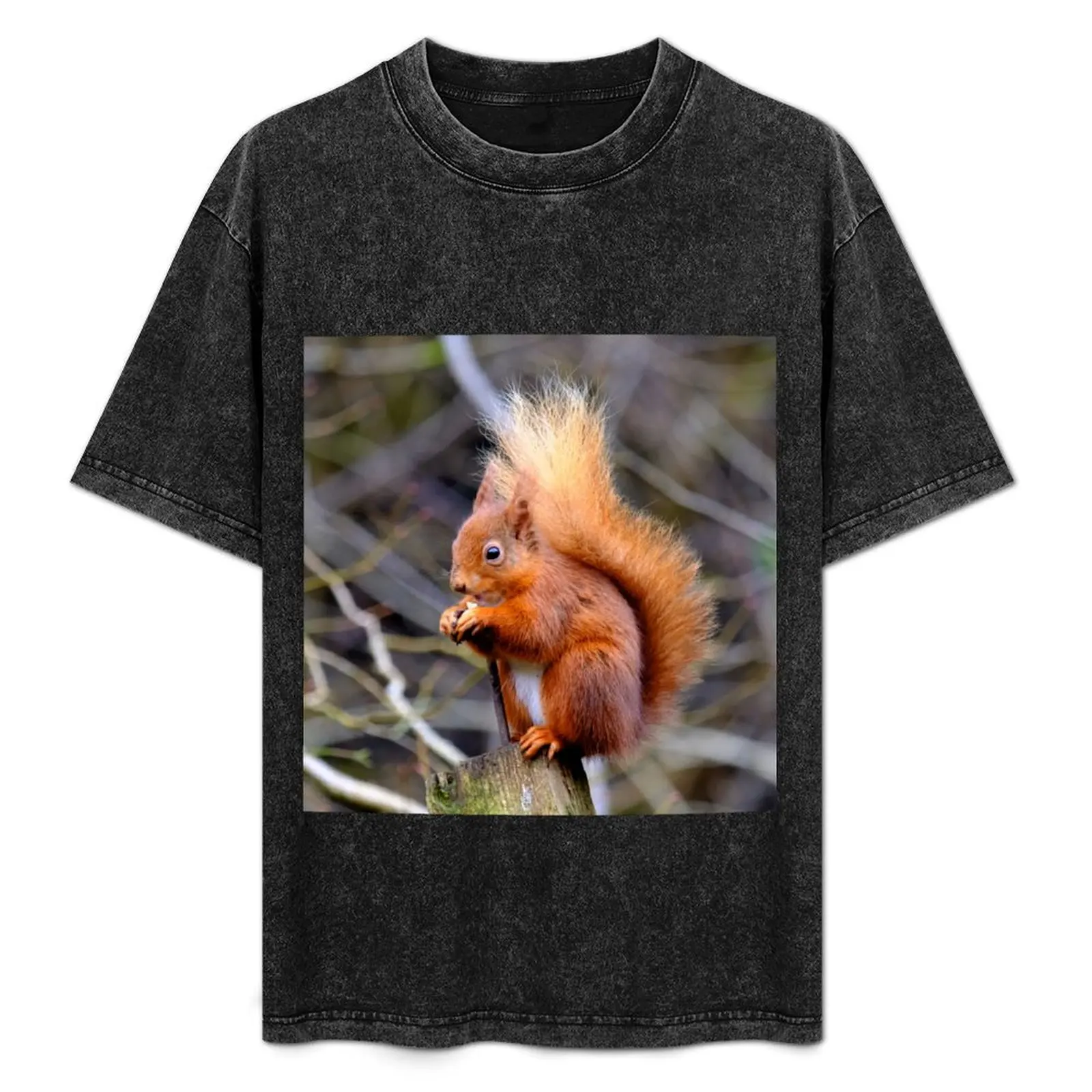 Red Squirrel. T-Shirt anime clothes customs design your own blue archive custom t shirt mens t shirts top quality