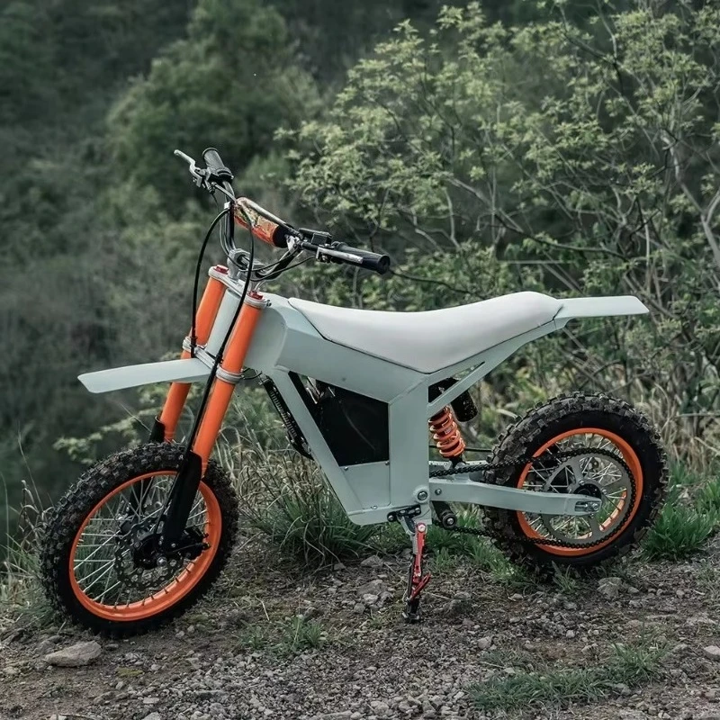 

SXLL Wholesale 48v 3000w 1000w 20ah Dual Suspension Hydraulic Disc Brake Electric Bike Ebike Mountain Electric Bike