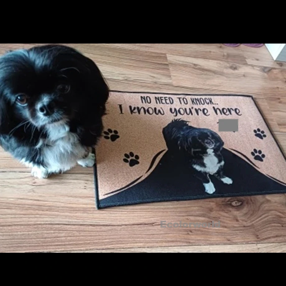 Felpudo personalizado con foto de perro, Felpudo con Nombre de mascota, alfombrillas de suelo para puerta de pasillo, alfombra, accesorio de