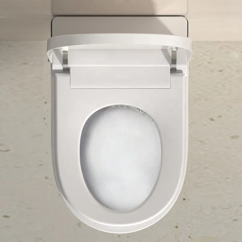 New Design Electronic Wall Hang Mounting Advance Bowl Household One Piece 220v Smart Toilet With Built in Water Tank view 5