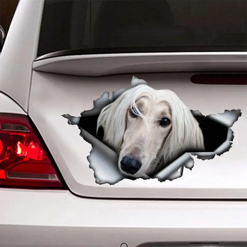 

Afghan Hound Pet Dog Car Stickers Car Window Decorative Waterproof Vinyl Decal for Car Accessories Decor SH02