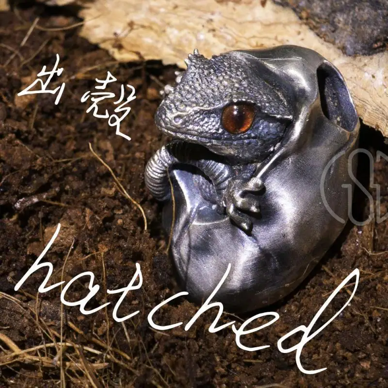 

Подвеска Shell Out Bullet Guarding Palace Eyelash Horn Pig Nose Snake Shell Out