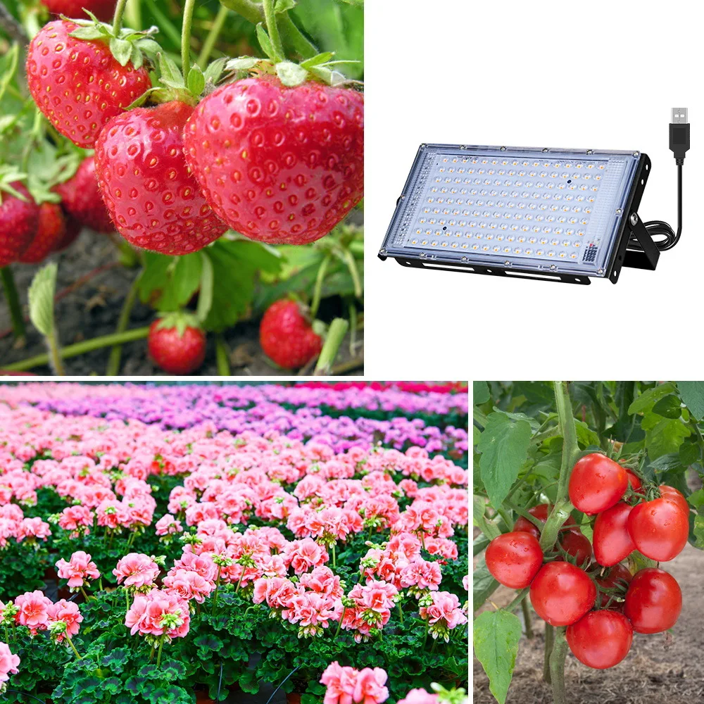 Volledige Spectrum LED Plant Grow Light AC220V 50/100/200/300W met schakelaar voor kas hydrocultuur planten bloemzaden groei licht
