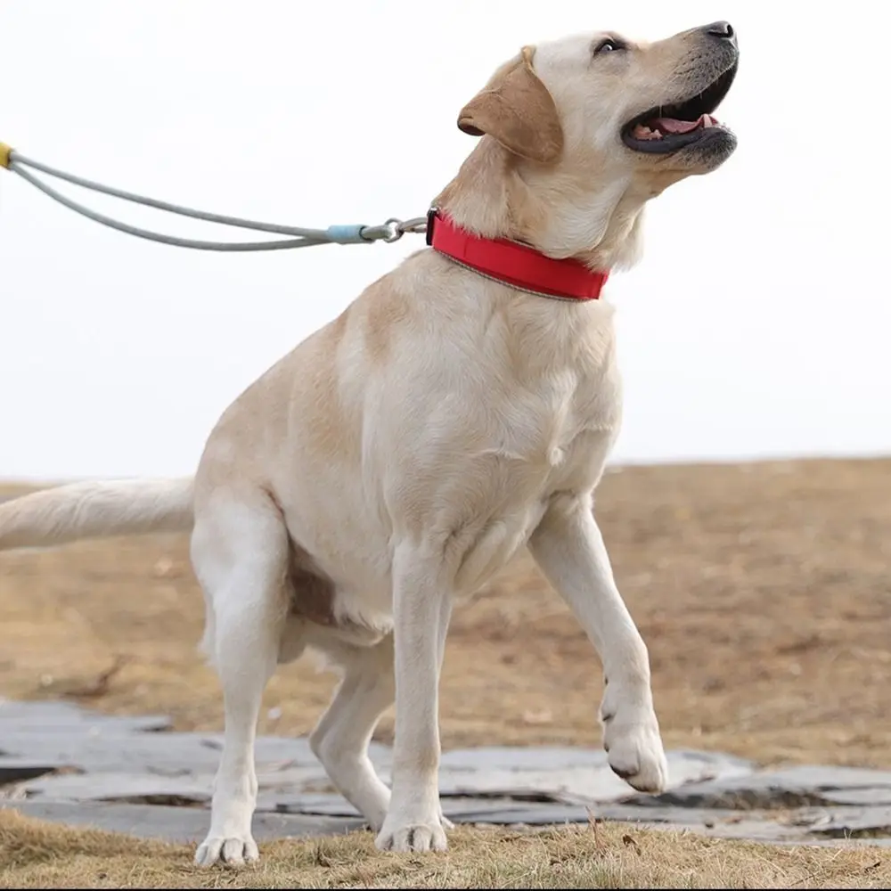 

Polyester Fiber Pet Dog Collar Comfortable Breathable Dog Training Collar Adjustable with Metal Buckle Pet Reflective Collar