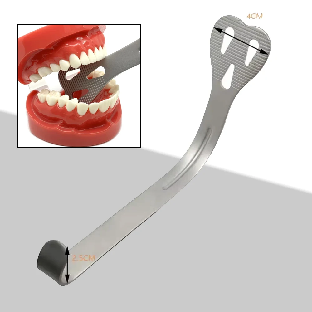 

Dental Mouth Opener Stainless Steel Dental Lingual Retractor for Teeth Isolation Double-headed Mouth Retractor Dental Tool