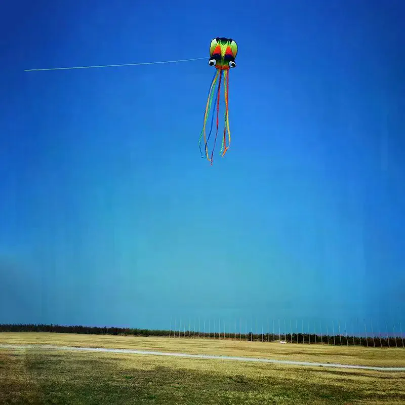 1 Set riesige weiche Drachen für Erwachsene, Outdoor-Spielzeug, regenbogenfarbener 3D-Krake-Weichdrachen, 4 m riesiger Drachen mit 100 m Reifenlinie