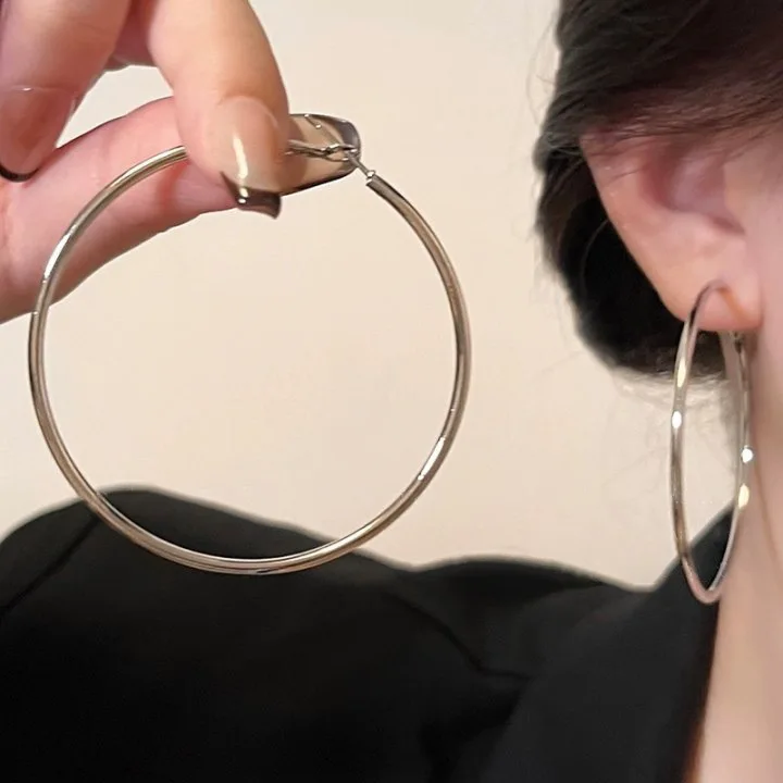 

Minimalist Metal Hoop Earrings Luxury Small Batch Design High-end Fashion Commute Cold Tone Unique Earrings Manufacturer