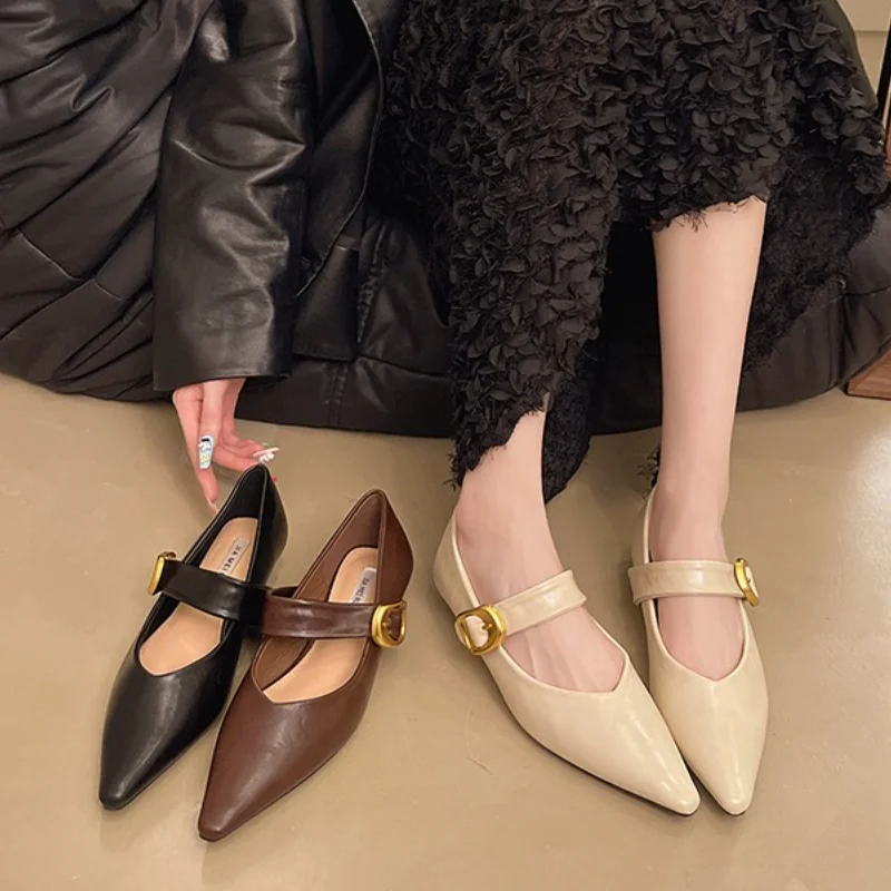 Pointed Mary Jane Single Shoes Women's Spring New Fashion Retro Shallow Mouth Thick Heel Small Leather Shoes