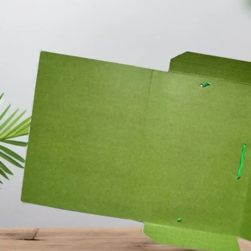 

Папки с файлами с папки документов с папкой для сортировки эластичной полосы