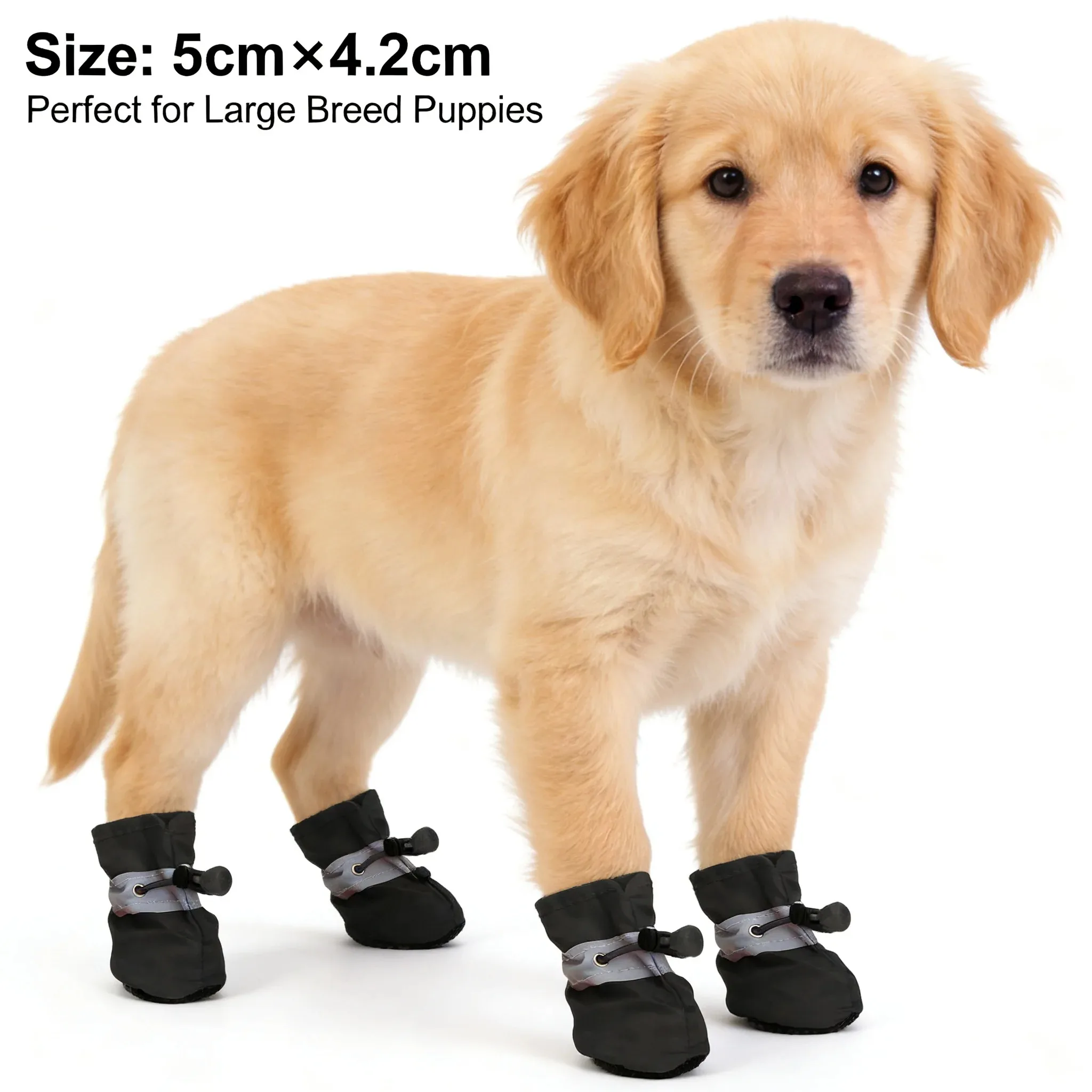 Thumbnail 4 - #22 Puppy Boots Discount Picks