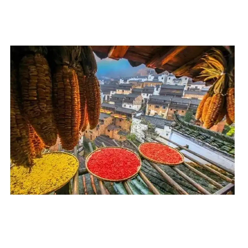 

AX3000 WiFi6 повторитель расширитель усилитель двухдиапазонный 2,4G/5 ГГц Wi-Fi 6 усилитель сигнала сетевой маршрутизатор дальнего действия для домашнего офиса